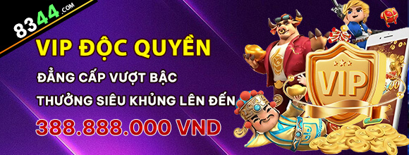 Hình ảnh quảng cáo của bongvip hiển thị nền tảng và các lợi ích