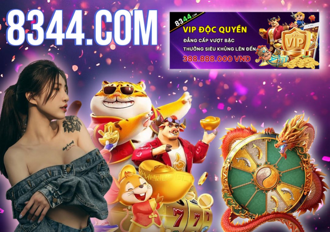 Hình ảnh quảng cáo của bongvip hiển thị nền tảng và các lợi ích